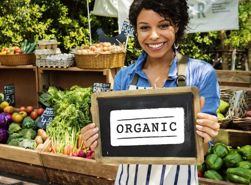 how-big-is-the-organic-food-market-in-the-united-states-foodindustry-com